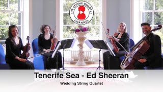 Tenerife Sea Ed Sheeran Wedding String Quartet [upl. by Schriever476]