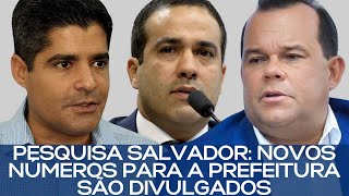 PESQUISA SALVADOR NOVOS NÃšMEROS PARA A PREFEITURA SÃƒO DIVULGADOS [upl. by Doroteya]