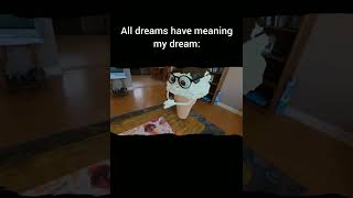 All dreams have meaning creditButteredSideDown [upl. by Ecidna]