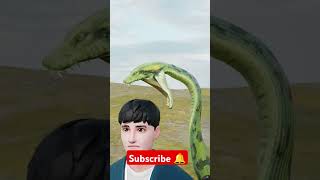 What if anaconda swallow you 3D animation [upl. by Borrell]