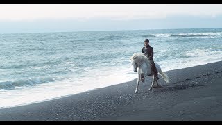 The Horses of Iceland official video [upl. by Hendrika]