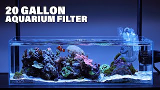 Top 10 Best 20 Gallon Aquarium Filter On Amazon [upl. by Ingaborg817]