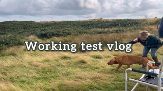 WORKING TEST VLOG 🏆 workingtest gundog competition dayout comewithus countryside [upl. by Eleynad]