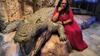 Dubai Aquarium  Dubai underwater observatory  Dubai Mall Episode part 2 [upl. by Otsugua428]