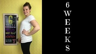 6 WEEKS PREGNANT  Bleeding Scare Development amp Feeling Good [upl. by Llehsal621]