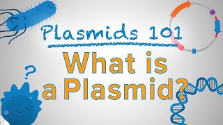 What is a Plasmid  Plasmids 101 [upl. by Melina]