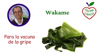 Vacuna de la gripe y Wakame [upl. by Reddin]