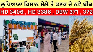 Wheat Seeds at Ludhiana Kisan Mela 2024 … PAU KISAN MELA 🌾 [upl. by Sochor]