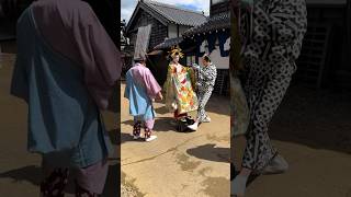 京都の芸者と舞妓さん  すごい美しい  Geisha and Maiko Mini Vlog Kyoto kyoto shorts [upl. by Papke172]