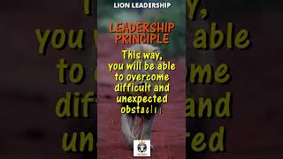 Lion Leadership  Have A Strong Vision [upl. by Meggs]