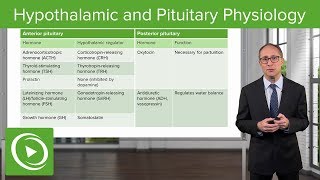 Review of Hypothalamic and Pituitary Physiology – Endocrinology  Lecturio [upl. by Gilmer459]