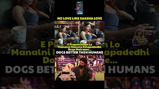 samantha dog shorts charlie777 sad emotional celebrities troll memes trending viralvideo [upl. by Drofwarc]