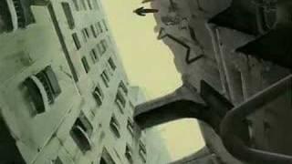 Wolfs Rain Amv Never Too Late [upl. by Kieffer378]