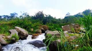 calming blue mountain stream Relaxing river sounds white noise for sleeping meditation ASMR [upl. by Coppinger]