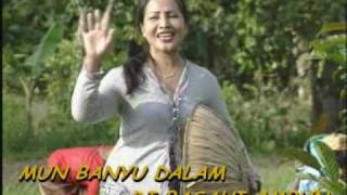 Tirik   BAHUMA SURUNG  Emilia Agus  Lagu Banjar Kalimantan Selatan [upl. by Haliek]