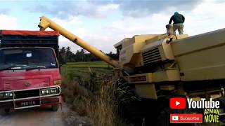 New Holland Clayson 8060 Cabin Combine Harvester at Pokok Tampang [upl. by Rutherfurd]