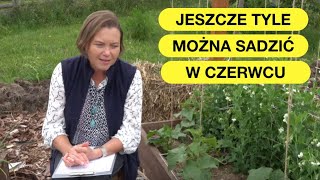 Czerwiec  Idealny Czas Na Sadzenie I Sianie [upl. by Pampuch]