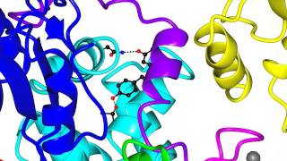 RING E3 ubiquitin ligase [upl. by Ahsoik134]