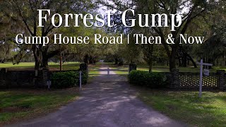 Forrest Gump 1994  The Gump House Road Filming Location  Then amp Now 4K [upl. by Japha]