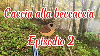 Caccia alla beccaccia  Ep2  FANTASMI D’OTTOBRE [upl. by Gnilyarg]