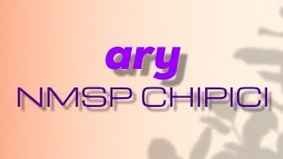 ary  NMSP CHIPICI Official Music Video [upl. by Bay]