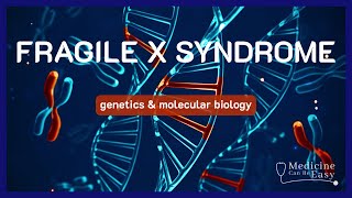 The Genetics Behind Fragile X Syndrome  NOTES [upl. by Adnamar375]