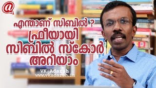 എന്താണ് സിബിൽ  ഫ്രീയായി സിബിൽ സ്‌കോർ അറിയാം  Cibil score  Banking video malayalam [upl. by Yovonnda]