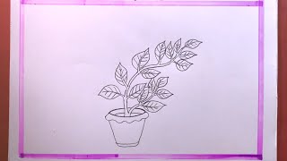 How To Draw A Plant Easy Step By Step [upl. by Firahs]