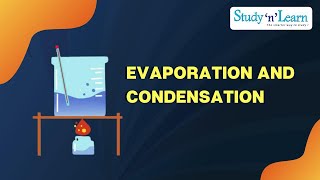 Evaporation and Condensation Science  Class 6 [upl. by Higbee]