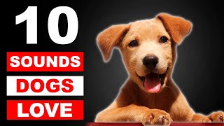 Top 10 Sounds Dogs Love To Hear The Most GUARANTEED [upl. by Olimreh379]