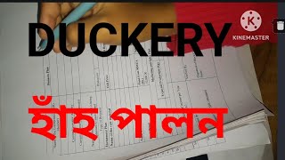 SHG business plan Duckery হাঁহ পালন আত্ম সহায়ক গোটৰ Frm Fillupshg duckery business plan [upl. by Okir314]