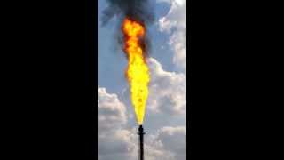 LYONDELLBASELL PETROCHEMICAL PLANT MORRIS IL DIVISION shorts fire naturalgas [upl. by Yssor447]