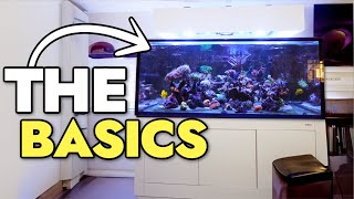 Exploring A Stunning 150 Gallon Mixed Reef Aquarium With A Frag Tank Table [upl. by Eenot135]