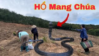 Tuyên Macao Và Anh Em Trong Tem Hoảng Hốt Phát Hiện Loài Rắn Độc Nhất Thế Giới Và Cái Kết [upl. by Crutcher]