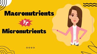 What are Macronutrients and Micronutrients Major nutrients Functions Sources  Carbohydrates fat [upl. by Oren18]