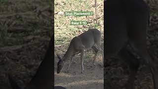 Shot Placement Rate 110 foryou deer deerhunting countrylife food hunting survival [upl. by Nailij296]