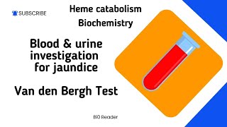 Heme Catabolism Part 3 Biochemistry Blood amp Urine investigation of Jaundice Van der Berg Test [upl. by Chiquia]