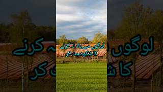 Hazrat Ali Quotes ❤️🌸  Quotes of Hazrat Ali in Urdu ytshorts youtubeshort [upl. by Nagey9]