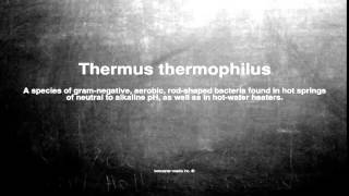 Medical vocabulary What does Thermus thermophilus mean [upl. by Nylaf637]