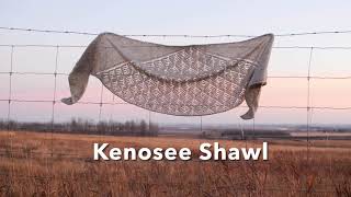 Icord Cast On  Kenosee Shawl [upl. by Eveiveneg]