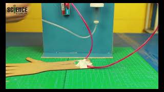 How to make Hemodialysis working Model  school Science Exhibition Project [upl. by Ztnarf]