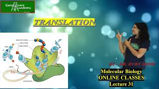 Translation Lecture31 Online Class Mol Bio tRNA charging and Ribosomes CSIR [upl. by Malek]