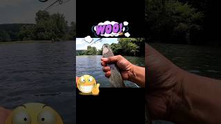 Try a OPST Commando Head Up Your Fly Fishing Game fishing flyfishing speycasting [upl. by Suirtimed]