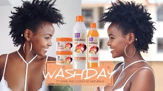 Natural Hair  Wash Routine ft Dark and Lovely Au Naturale [upl. by Annice]