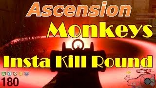 Ascension Monkeys Insta Kill Round [upl. by Ettevroc]