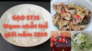 Review gạo ST25 gạo ngon nhất thế giới 2019 [upl. by Sirtimid]