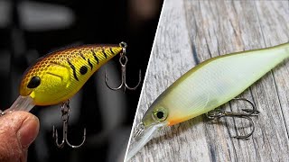 Crankbait vs Jerkbait Differences and Comparison [upl. by Urian]