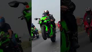 2022 kawasaki zx10r zx10r wheelie youtubeshorts shots status [upl. by Wessling813]