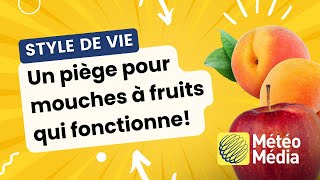 Un piège pour mouches à fruits qui fonctionne  Trucs et astuces [upl. by Ydollem]