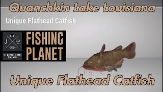 Unique Flathead Catfish  Quanchkin Lake Louisiana  Fishing Planet Guide [upl. by Neukam]